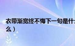 衣带渐宽终不悔下一句是什么（衣带渐宽终不悔下一句是什么）