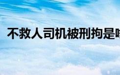 不救人司机被刑拘是啥情况事情经过是什么