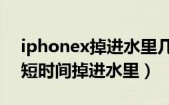 iphonex掉进水里几秒钟怎么办（iphonex短时间掉进水里）