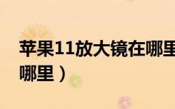 苹果11放大镜在哪里打开（苹果11放大镜在哪里）