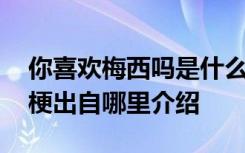 你喜欢梅西吗是什么梗 或许你喜欢梅西吗的梗出自哪里介绍