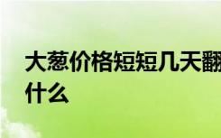 大葱价格短短几天翻几倍 涨价背后的原因是什么