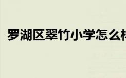 罗湖区翠竹小学怎么样翠竹小学简介和资料