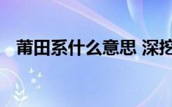 莆田系什么意思 深挖背后不为人知的内幕