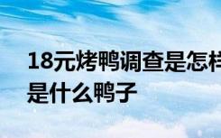 18元烤鸭调查是怎样的怎么会这么便宜用的是什么鸭子