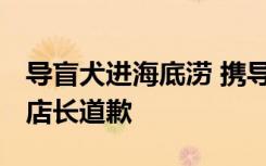 导盲犬进海底涝 携导盲犬进海底捞两度遭据 店长道歉