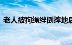 老人被狗绳绊倒摔地后身亡 真的是飞来横祸