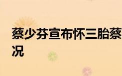 蔡少芬宣布怀三胎蔡少芬想要4个孩子是啥情况