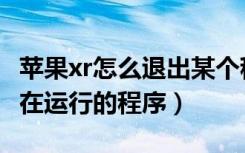 苹果xr怎么退出某个程序（苹果xr怎么退出正在运行的程序）