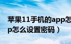 苹果11手机的app怎么设置密码（苹果11app怎么设置密码）