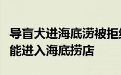 导盲犬进海底涝被拒绝怎样的为什么导盲犬不能进入海底捞店