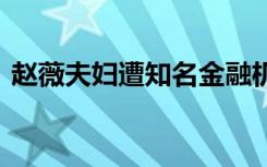 赵薇夫妇遭知名金融机构起诉 具体是啥情况