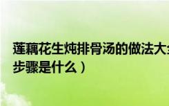 莲藕花生炖排骨汤的做法大全家常（莲藕花生排骨汤的做法步骤是什么）