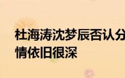 杜海涛沈梦辰否认分手 合照甜蜜 相恋8年感情依旧很深