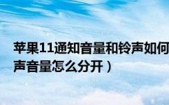 苹果11通知音量和铃声如何分开（iphone11媒体音量和铃声音量怎么分开）