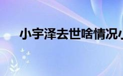 小宇泽去世啥情况小宇泽为什么会去世