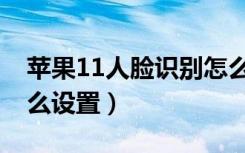 苹果11人脸识别怎么弄（苹果11人脸识别怎么设置）