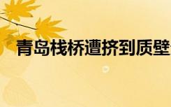 青岛栈桥遭挤到质壁分离 具体情况是什么