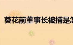 葵花前董事长被捕是怎样的被捕原因是什么