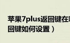 苹果7plus返回键在哪里设置（苹果7plus返回键如何设置）