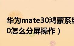 华为mate30鸿蒙系统怎么分屏（华为mate30怎么分屏操作）