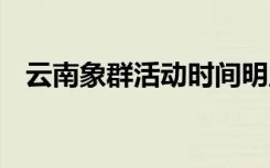 云南象群活动时间明显提前 具体是啥情况