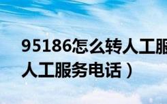 95186怎么转人工服务电话（95508怎么转人工服务电话）