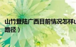 山竹登陆广西目前情况怎样山竹登陆广西（登陆地点+时间+路径）