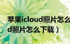 苹果icloud照片怎么下载后克隆（苹果icloud照片怎么下载）