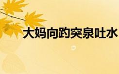 大妈向趵突泉吐水 事件经过具体怎样