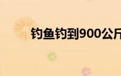 钓鱼钓到900公斤大白鲨 是怎样的