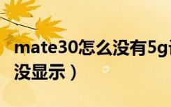 mate30怎么没有5g设置了（mate30开启5g没显示）