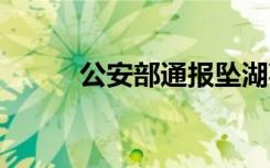 公安部通报坠湖事件 通报内容是