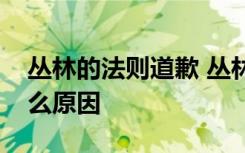 丛林的法则道歉 丛林的法则为何道歉具体什么原因