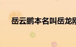 岳云鹏本名叫岳龙刚 岳云鹏为什么改名