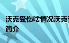 沃克受伤啥情况沃克受伤具体怎样的沃克资料简介