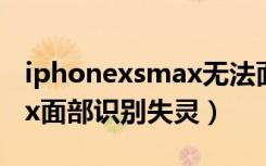 iphonexsmax无法面部识别（iphonexsmax面部识别失灵）