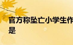 官方称坠亡小学生作文涉抄袭 事情具体经过是