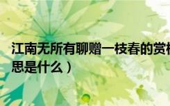 江南无所有聊赠一枝春的赏析（江南无所有 聊赠一枝春的意思是什么）