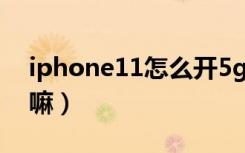 iphone11怎么开5g网络（ipone11能用5g嘛）