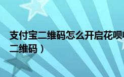 支付宝二维码怎么开启花呗收款（支付宝怎么设置花呗收款二维码）