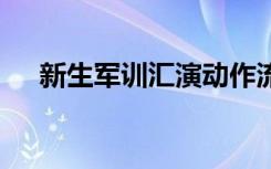 新生军训汇演动作流畅像动画 太震撼了