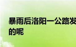 暴雨后洛阳一公路发生大片坍塌 到底是怎样的呢