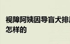 视障阿姨因导盲犬排尿被邻居投诉2年 具体是怎样的