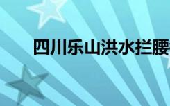 四川乐山洪水拦腰截断大桥 灾情如何