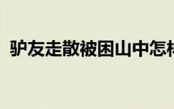 驴友走散被困山中怎样的具体详情情况如何