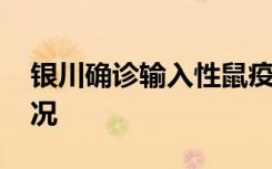 银川确诊输入性鼠疫患者病情危重 目前啥情况