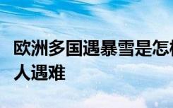 欧洲多国遇暴雪是怎样的欧洲多国遇暴雪多少人遇难