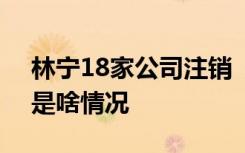 林宁18家公司注销  谁是林宁18家公司注销是啥情况