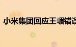 小米集团回应王嵋错误言论 事情具体经过是